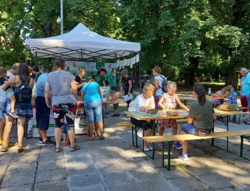 Öko Családi Délelőtt a Balokány-ligetben szeptember 21-én