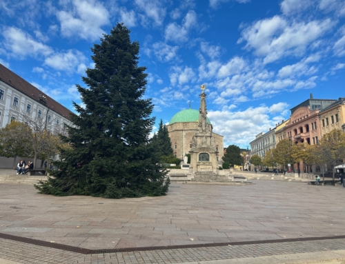 Máshonnan hozták a mindenki karácsonyfáját! (PécsAktuál.hu)